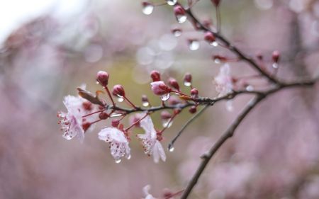 Частину країни накриють дощі: синоптики оновили прогноз погоди на 20 травня