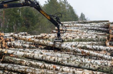 УУБ впроваджує довгострокові контракти за напрямком «Необроблена деревина»