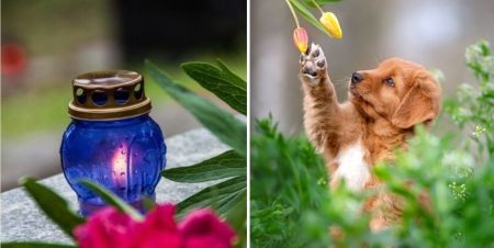 Погода на Красну гірку, що чекати в поминальний день – прогноз синоптиків на 12 травня