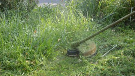 Мільйони на благоустрій під час війни: у Кривому Розі скандал через траву