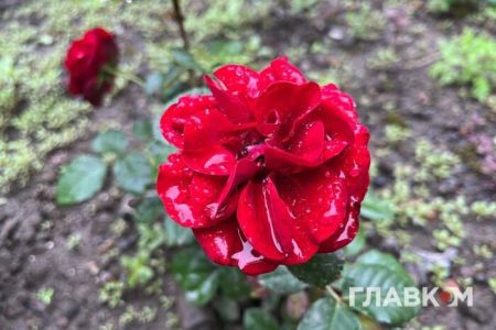 Дощі, місцями грози: прогноз погоди на 16 червня