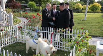 Путін поїхав із КНДР не один: Кім Чен Ин подарував диктатору рідкісних тварин