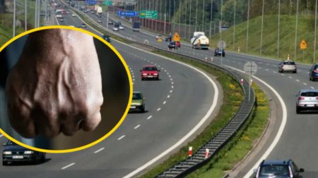 Вирішили з’ясувати стосунки на кулаках: двоє водіїв влаштували мордобій посеред дороги у Києві (відео)