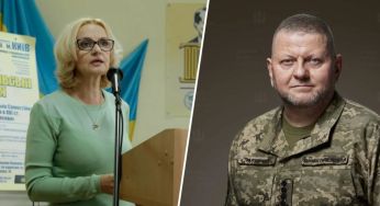 Фаріон поставила під сумнів якість дисертації Залужного