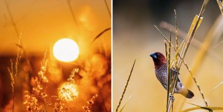 Якою погодою закінчиться червень – прогноз синоптиків на 30 червня