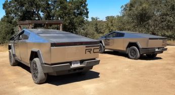 Єноти атакують Tesla Cybertruck, плутаючи їх зі сміттєвими баками
