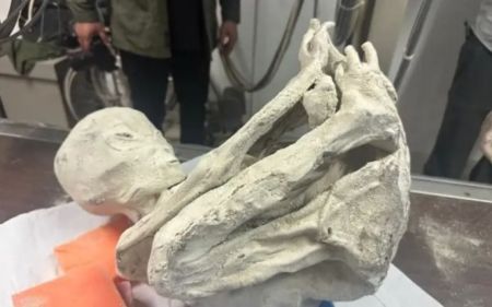 “Мумії іншопланетян” у Перу: сканування відбитків пальців не виявило жодних людських зразків – фото