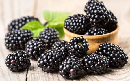 Що їсти, щоб схуднути: шість продуктів чорного кольору, які допоможуть скинути вагу