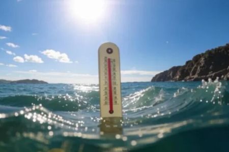 Вода навколо Нової Зеландії «закипає»: експерти пояснили, що відбувається