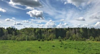 Якою буде погода в Україні вихідними: прогноз синоптикині