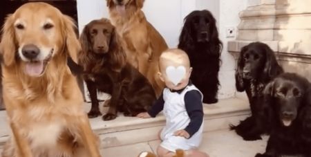 Брат Кейт Міддлтон показав сина, який підріс (відео)