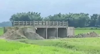 Немає ні доріг, ні води: у відритому полі побудували міст (відео)