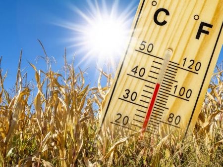 Ніхто не пропетляє: готуємося до сильної спеки – прогноз погоди на 18 серпня