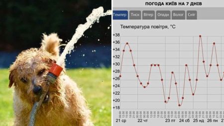 Навіть не сподівайтеся, літо так швидко не піде: прогноз погоди на 22 серпня