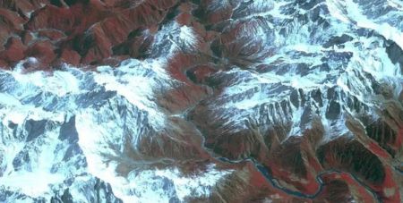 У найглибшому наземному каньйоні на Землі виявлено найвище дерево в Азії (фото)