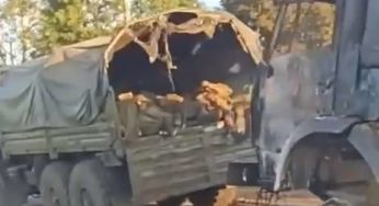 “Сколько пацанов”: у Мережі показали розбиту “Хаймарсом” колону армії РФ на Курщині