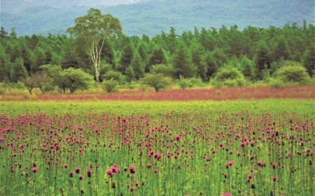 Як зміниться погода сьогодні, 30 серпня: прогноз синоптиків