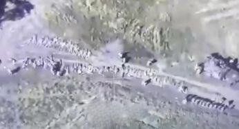 У полон ЗСУ здалася ціла рота російських солдатів: їх покинули командири