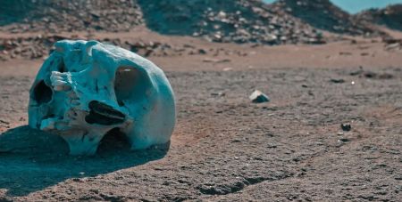 Повернути вимирання назад. Вчені знайшли спосіб відродити людство у майбутньому (фото)