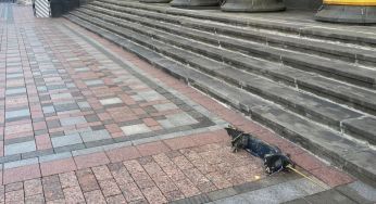 Ворожий дрон цілив у будівлю Верховної Ради (фото)