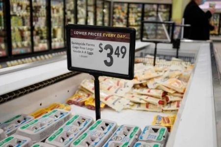 Мешканці дев’яти американських штатів купували яйця із сальмонелою