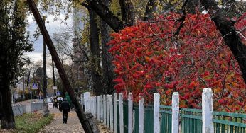Перші серйозні ознаки осені: синоптикиня озвучила прогноз погоди на вихідні