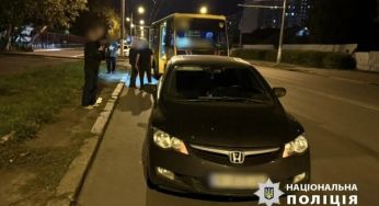 У Одесі їжачок вийшов на дорогу і спровокував ДТП