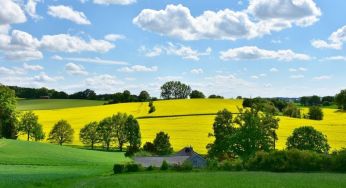 Коли до України прийде похолодання: прогноз синоптика на вересень