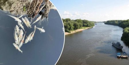 Від чорної плями на Десні Київ врятує Старуха, Рудка і Золотинка: коли чекати на появу брудної води в столиці