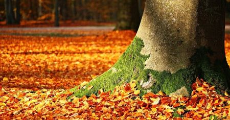 Із самого ранку небо закриють хмари: прогноз погоди на 24 жовтня