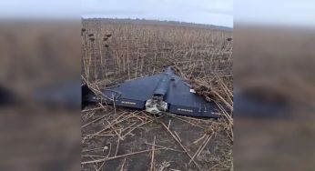 Фермер з Одещини знайшов у полі цілий “Шахед” (відео)