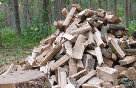 Українцям загрожують тюремні терміни за дрова: адвокат пояснив деталі