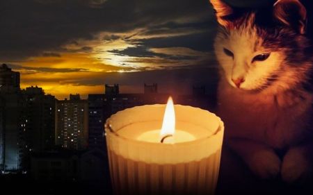 Відключення електрики повертаються: де і коли завтра не буде світла