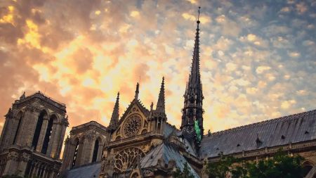 Тримали в секреті 5 років: вперше показали паризький Нотр-Дам всередині після пожежі