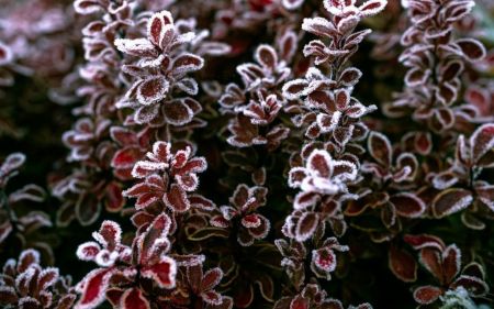 Останні теплі дні, а далі – снігопади: синоптики оновили прогноз в Україні