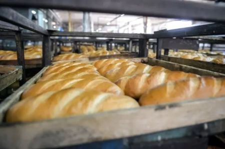 Ціни на хліб ростуть: чи готові українці відмовитись від улюбленого продукту