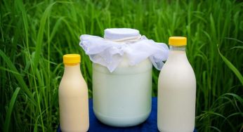 Ціни на продукти в Україні: молочка стрімко дорожчає