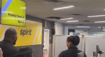 Дика тварина стрибнула зі стелі аеропорту і погналася за наляканими туристами: хто це був (відео)