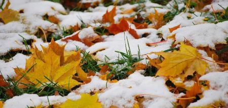 Мінус і мокрий сніг: де прогнозують погіршення погоди 3 листопада
