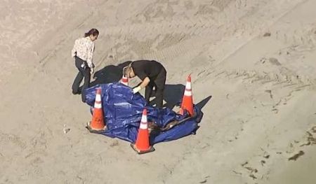 На популярному туристичному пляжі знайшли людську голову