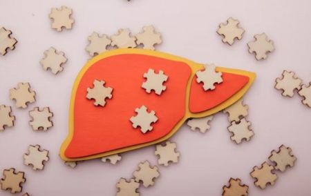 Життя без семи органів? Вчені пояснили, як це можливо