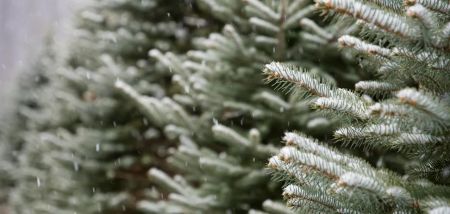 Україну накриє мокрий сніг, буде ожеледиця: синоптикиня уточнила прогноз на четвер