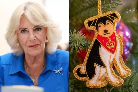 Король Чарльз оголосив, що в їхній із Каміллою родині планується поповнення: про що йдеться