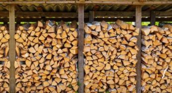 У в’язницю посадять чи ні: які штрафи чекають на українців за зберігання дров