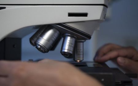 Світ може стикнутися з новою пандемією: вчені виявили мутацію у вірусі грипу