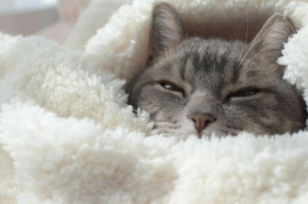 Люті морози та ожеледиця: синоптик попередив, коли Україну накриє справжня зима