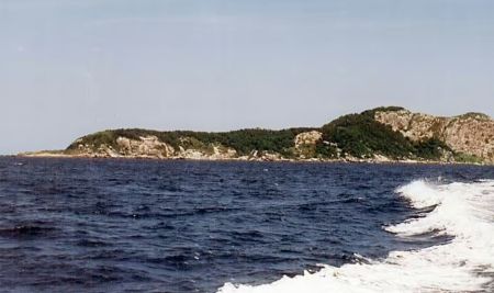 Названо “найнебезпечніший” острів на Землі: де він знаходиться