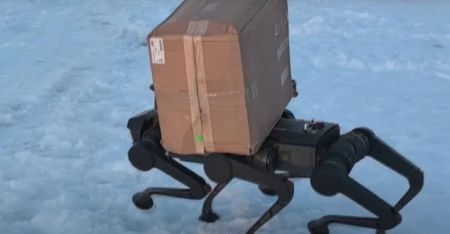 У Китаї створили морозостійкого робота-собаку, який “ходить” у черевиках (відео)
