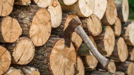 Як законно заготовити дрова, щоб не отримати штраф