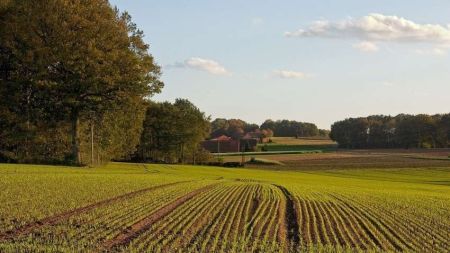 На заході України відбирають землю на потреби ЗСУ: що відомо